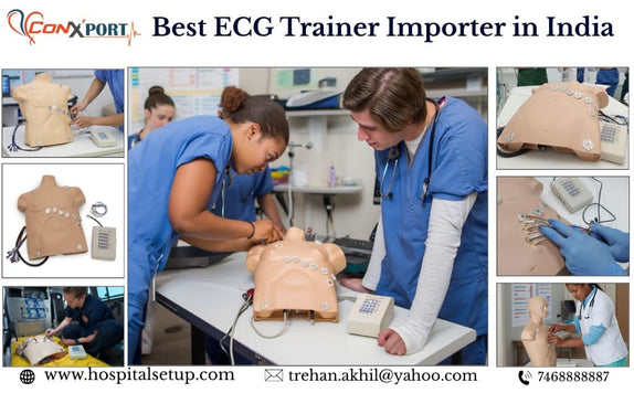 Best Ecg Trainer Manufacturer in India-Electrocardiogram Placement Trainer