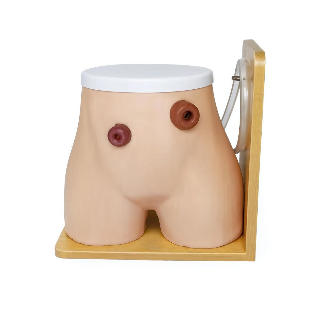 Ostomy Nursing Model