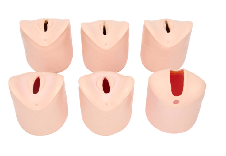 Labor Delivery Module
