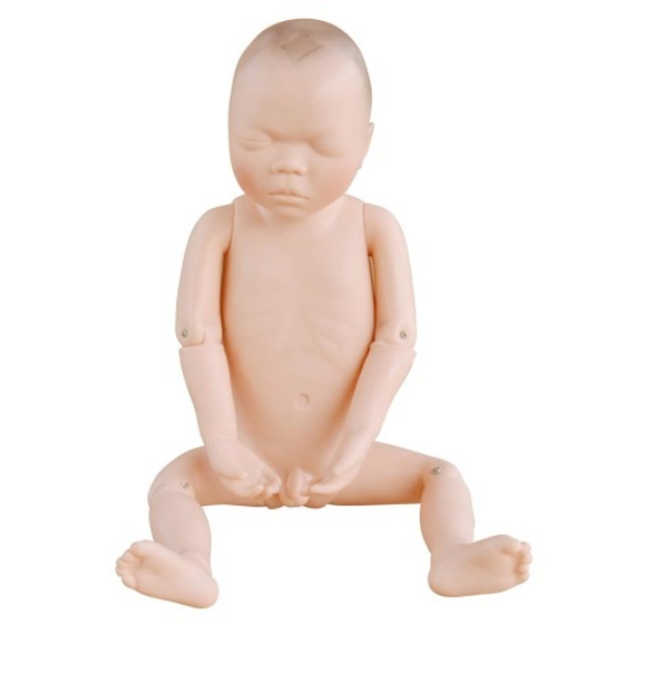Newborn Model (Baby Model)