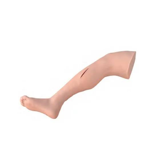 Advanced Suture Practice Leg