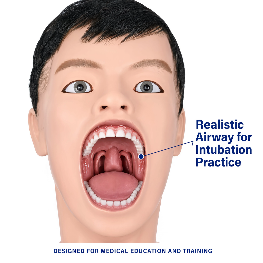 Transparent Gastric Lavage Training Model