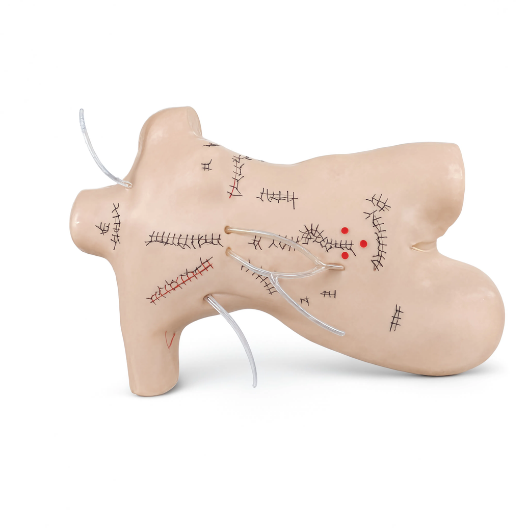 Surgical Suture and Bandaging Model