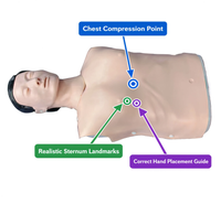 Electronic Half-Body CPR Training Manikin (Male)