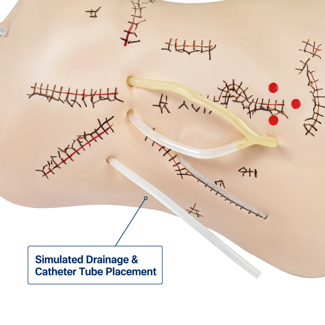 Surgical Suture and Bandaging Model