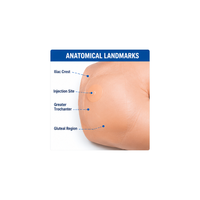 Lower Stump Bandaging Simulator