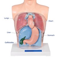 Transparent Gastric Lavage Training Model