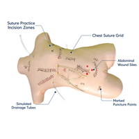 Surgical Suture and Bandaging Model