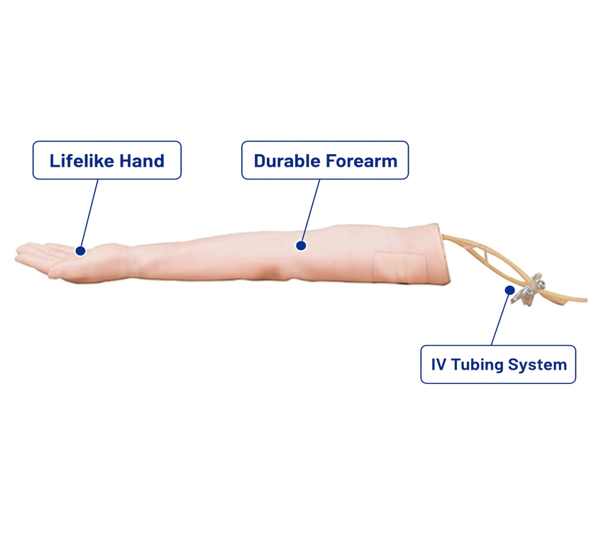 Injectable Training Arm Model (Without Set)