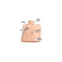 Pneumothorax / Pleural Drainage (Artificial Hydrothorax) Simulator