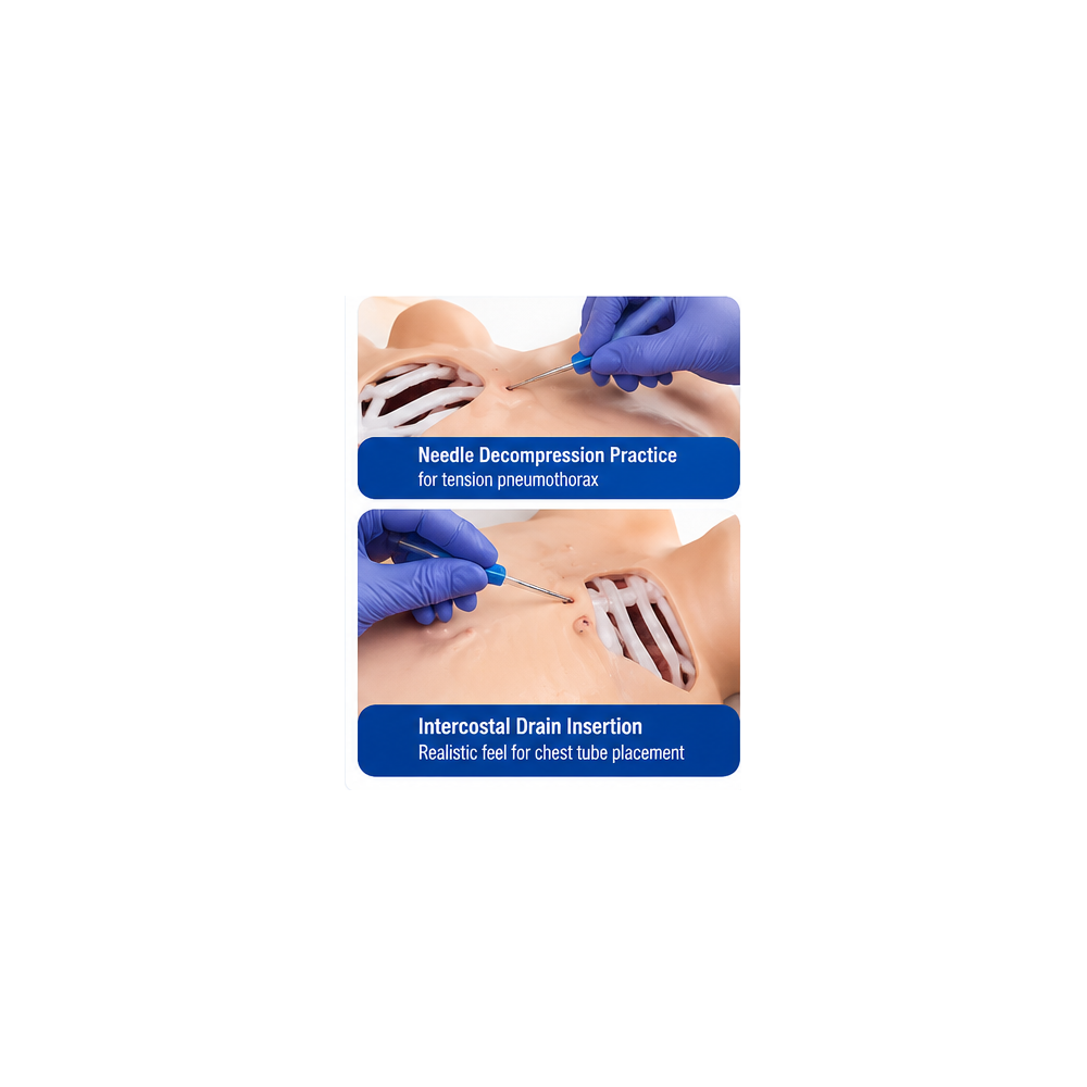 Pneumothorax / Pleural Drainage (Artificial Hydrothorax) Simulator