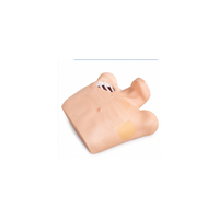 Pneumothorax / Pleural Drainage (Artificial Hydrothorax) Simulator