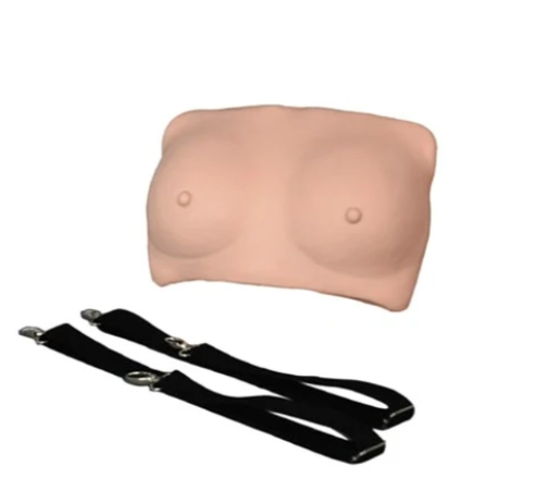 Breast Examination Model