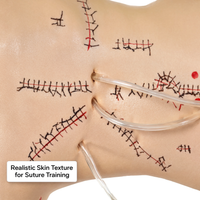 Surgical Suture and Bandaging Model