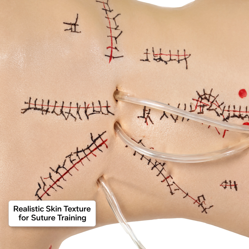 Surgical Suture and Bandaging Model