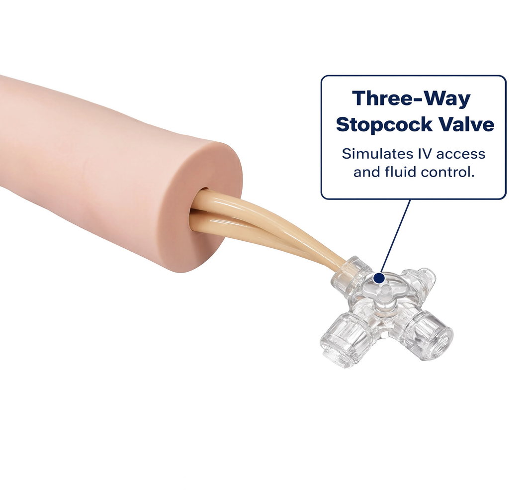 Injectable Training Arm Model (Without Set)