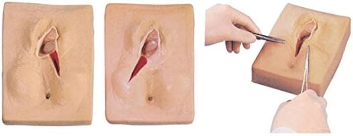 Vulva Suturing Training Simulator
